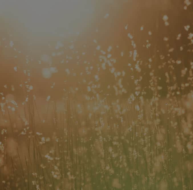 A Simple Goodbye followed by cremation package