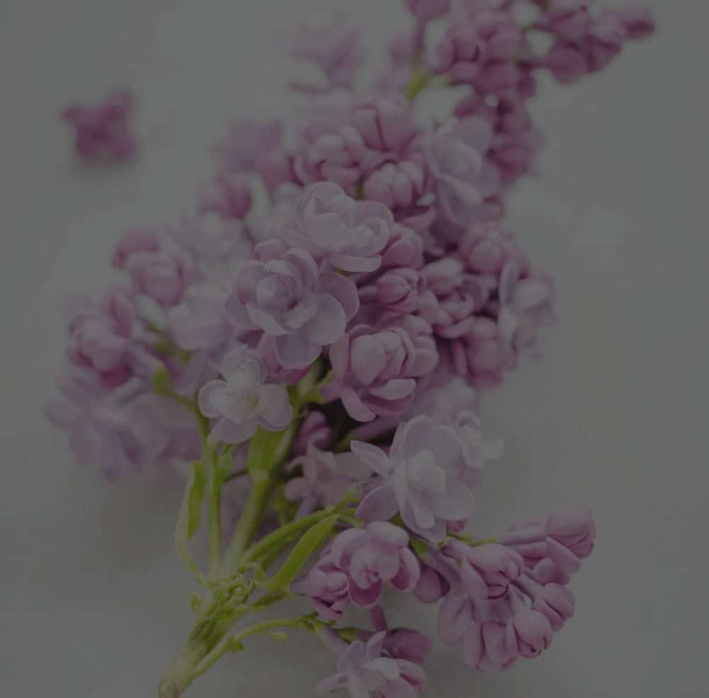 Direct cremation service package